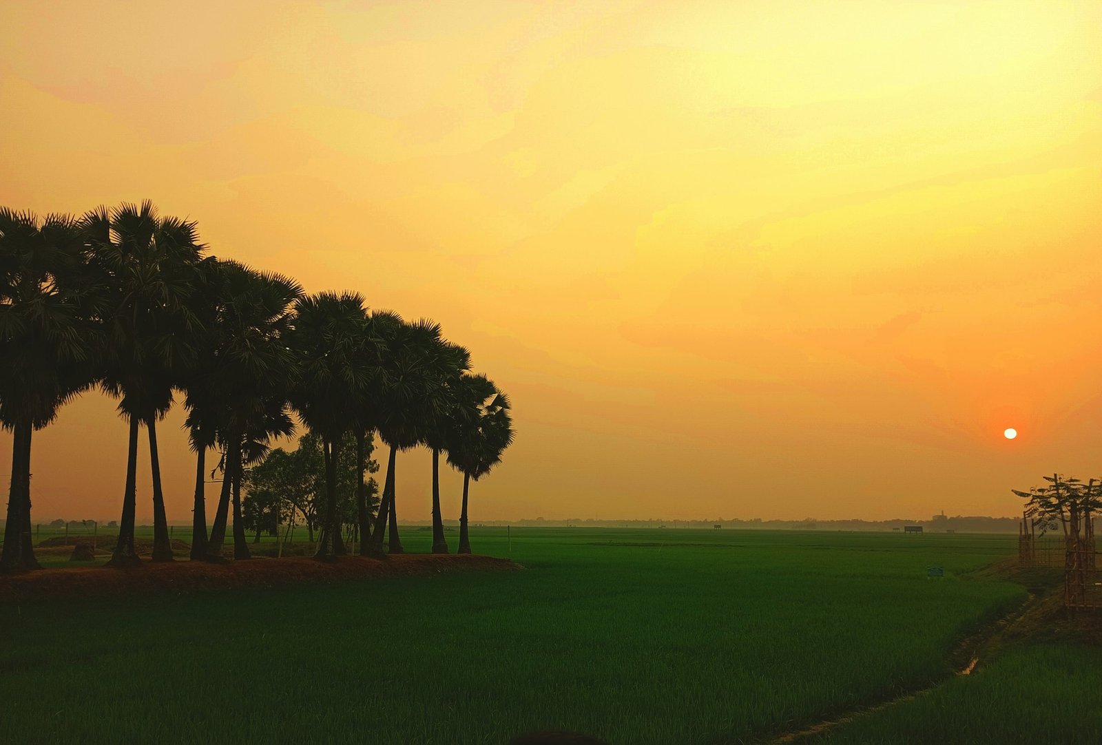 Sunset over a village and rice fields