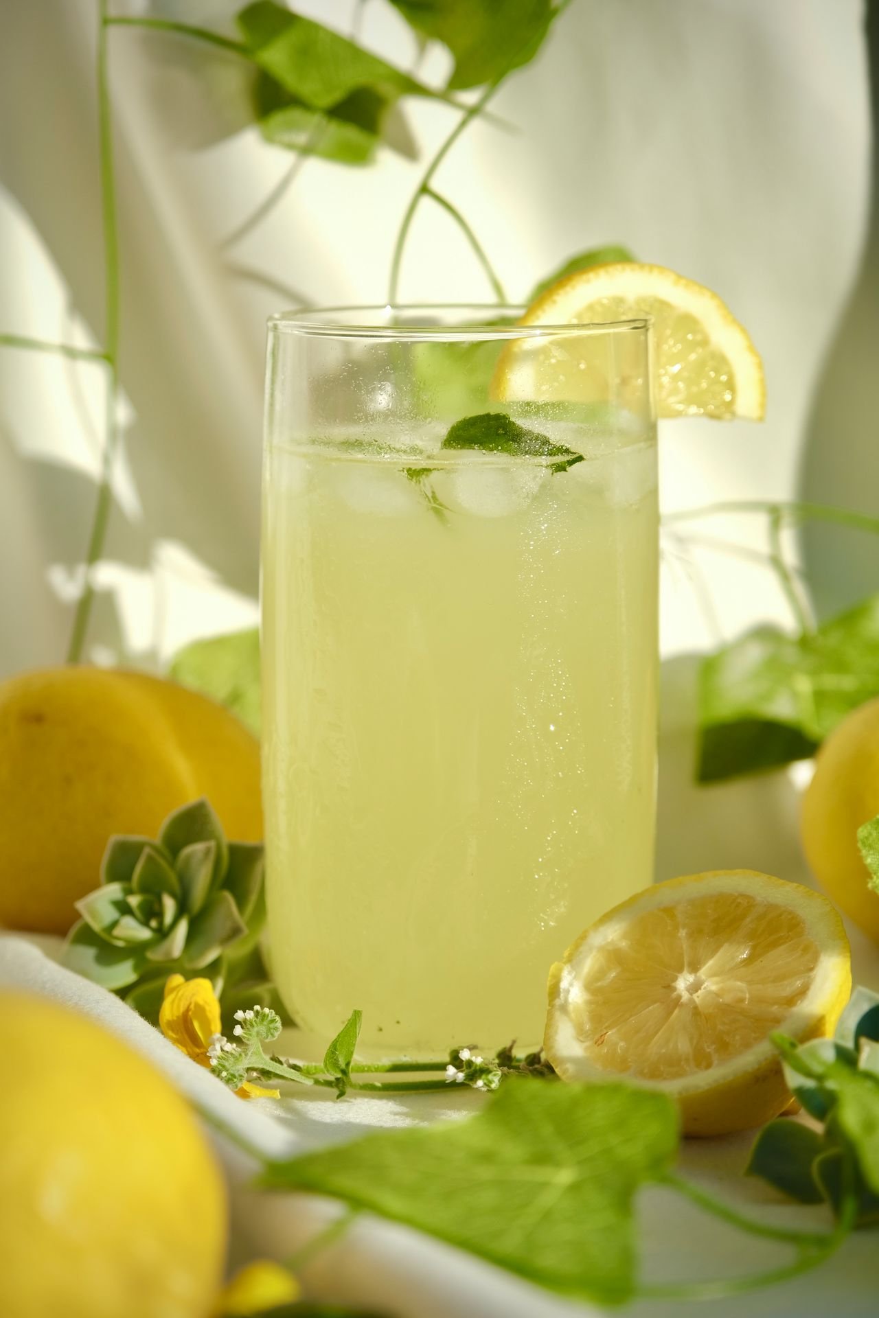 A glass of lemon drink with ice and mint